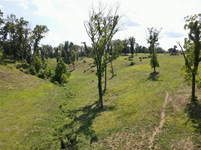 $1,100,000 | 73 New London Gravel Road, Hannibal, MO 63401