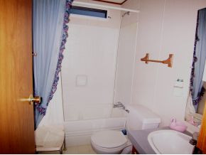 233 Spring Valley Circle Gate City, VA 24251 - Photo 4 of 10 Master bedroom bath