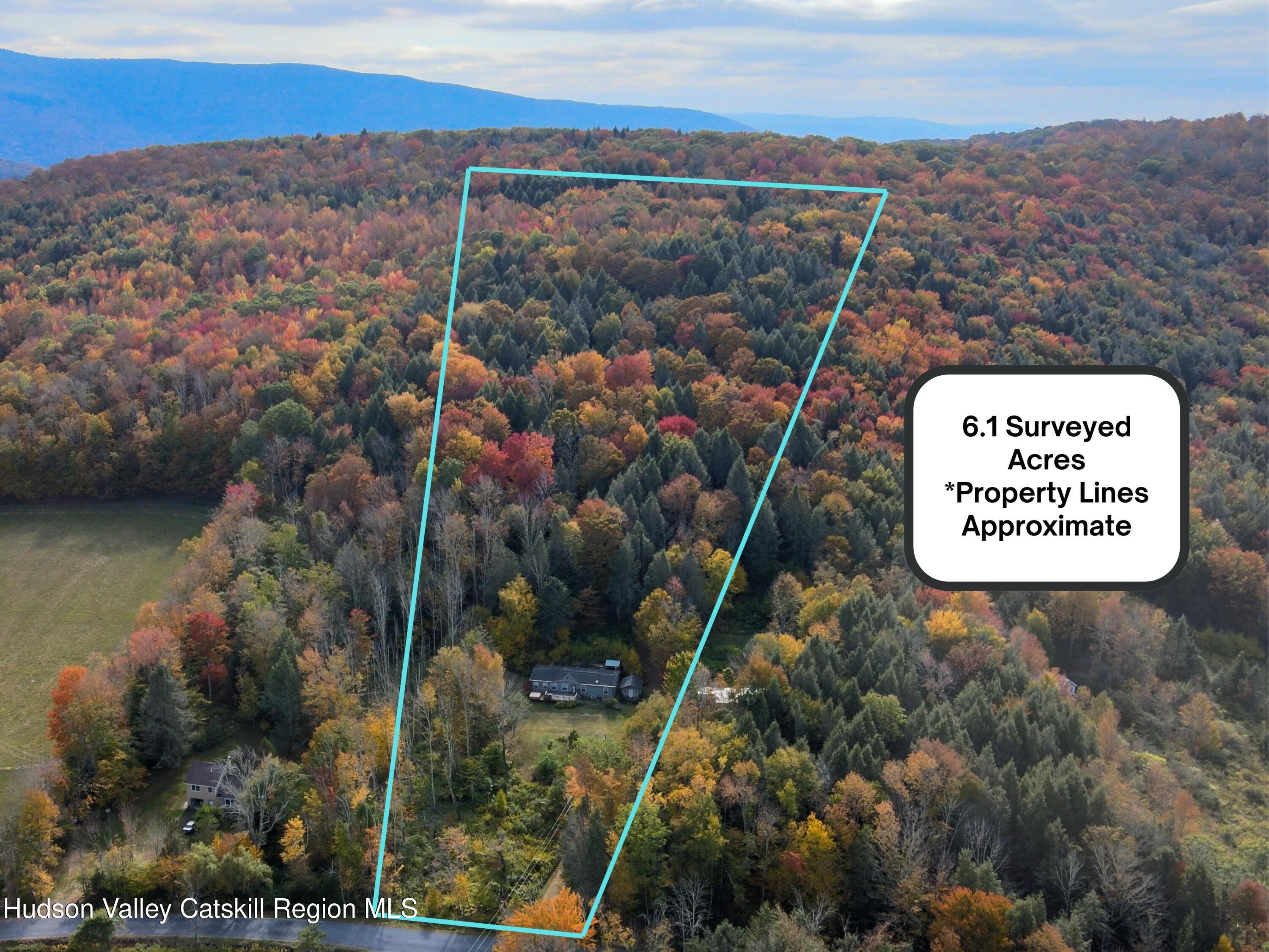 766 Hog Mountain Circle Fleischmanns, NY 12430 - Photo 2 of 31 a view of a area with a area