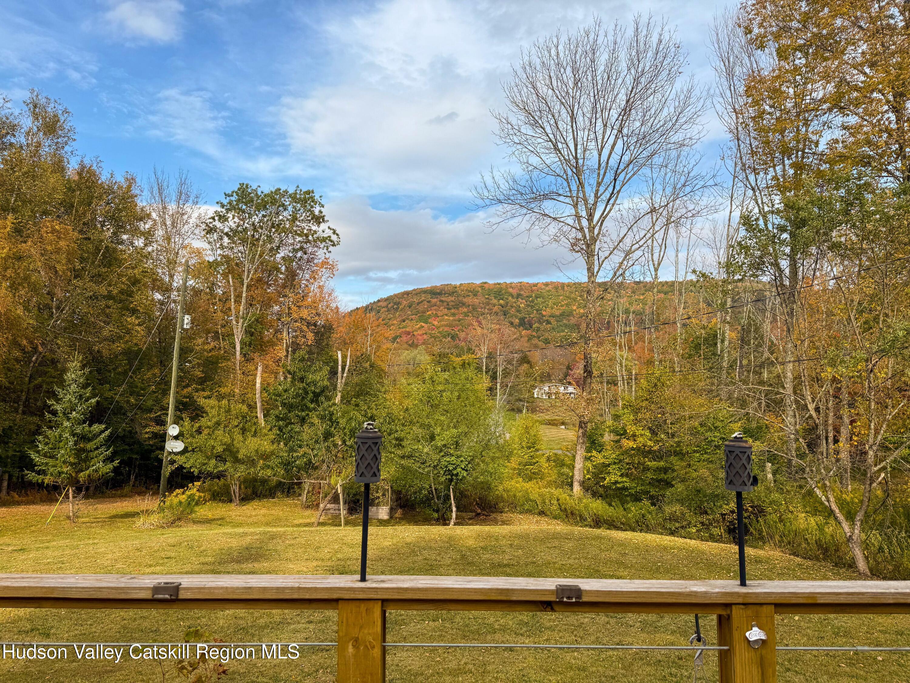 766 Hog Mountain Circle Fleischmanns, NY 12430 - Photo 28 of 31 a view of a swimming pool with an outdoor space