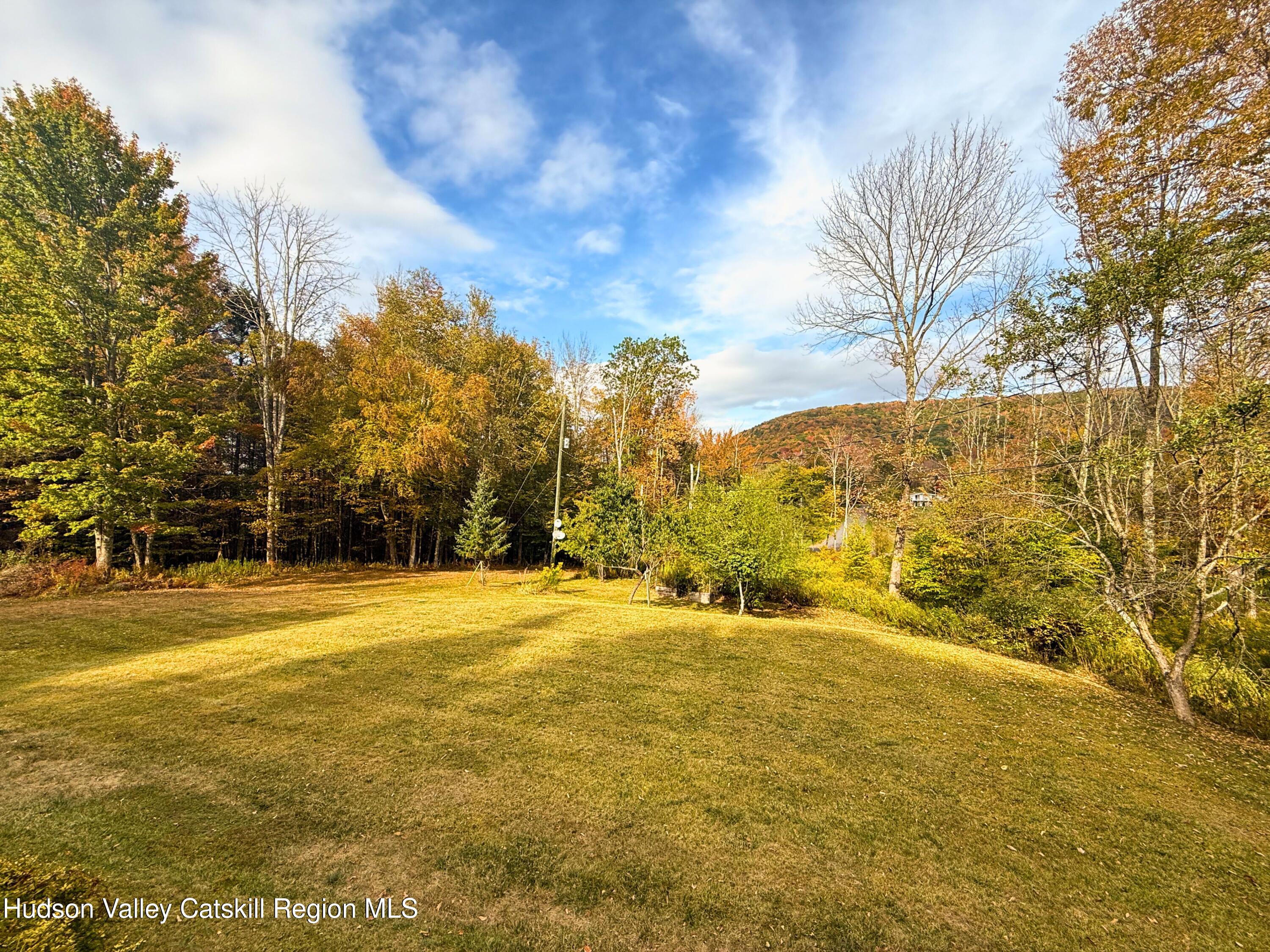 766 Hog Mountain Circle Fleischmanns, NY 12430 - Photo 29 of 31 a view of an ocean view