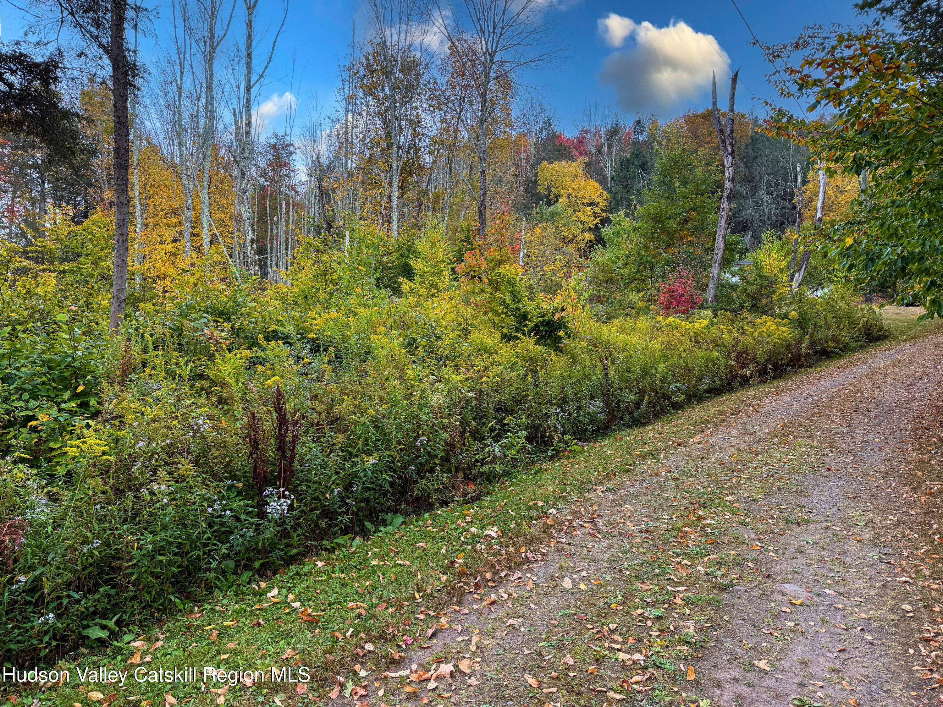 766 Hog Mountain Circle Fleischmanns, NY 12430 - Photo 30 of 31 a view of a garden with plants and large trees