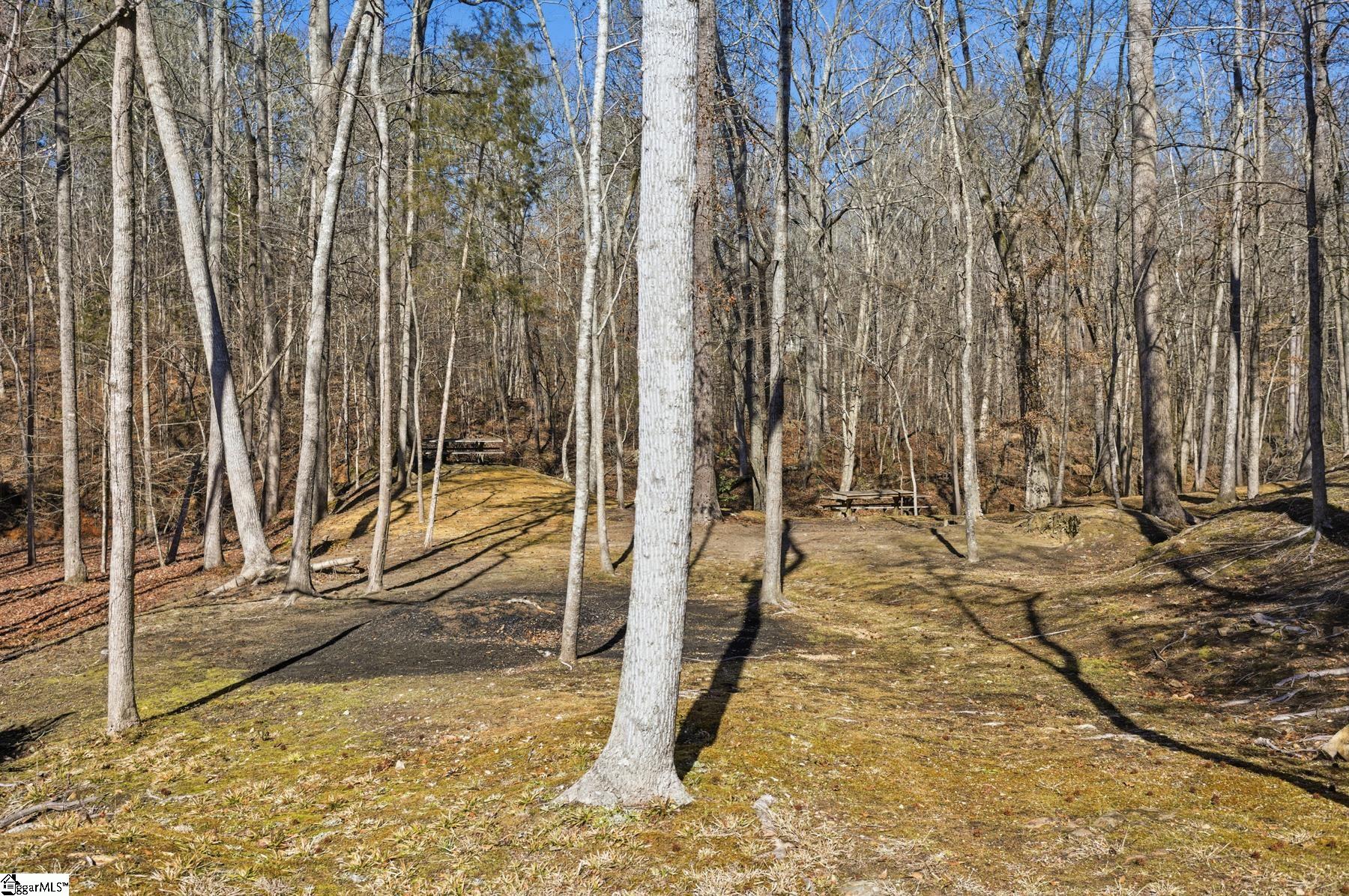1602 Klugh Road Abbeville, SC 29620 - Photo 29 of 45 Gallery Image 29