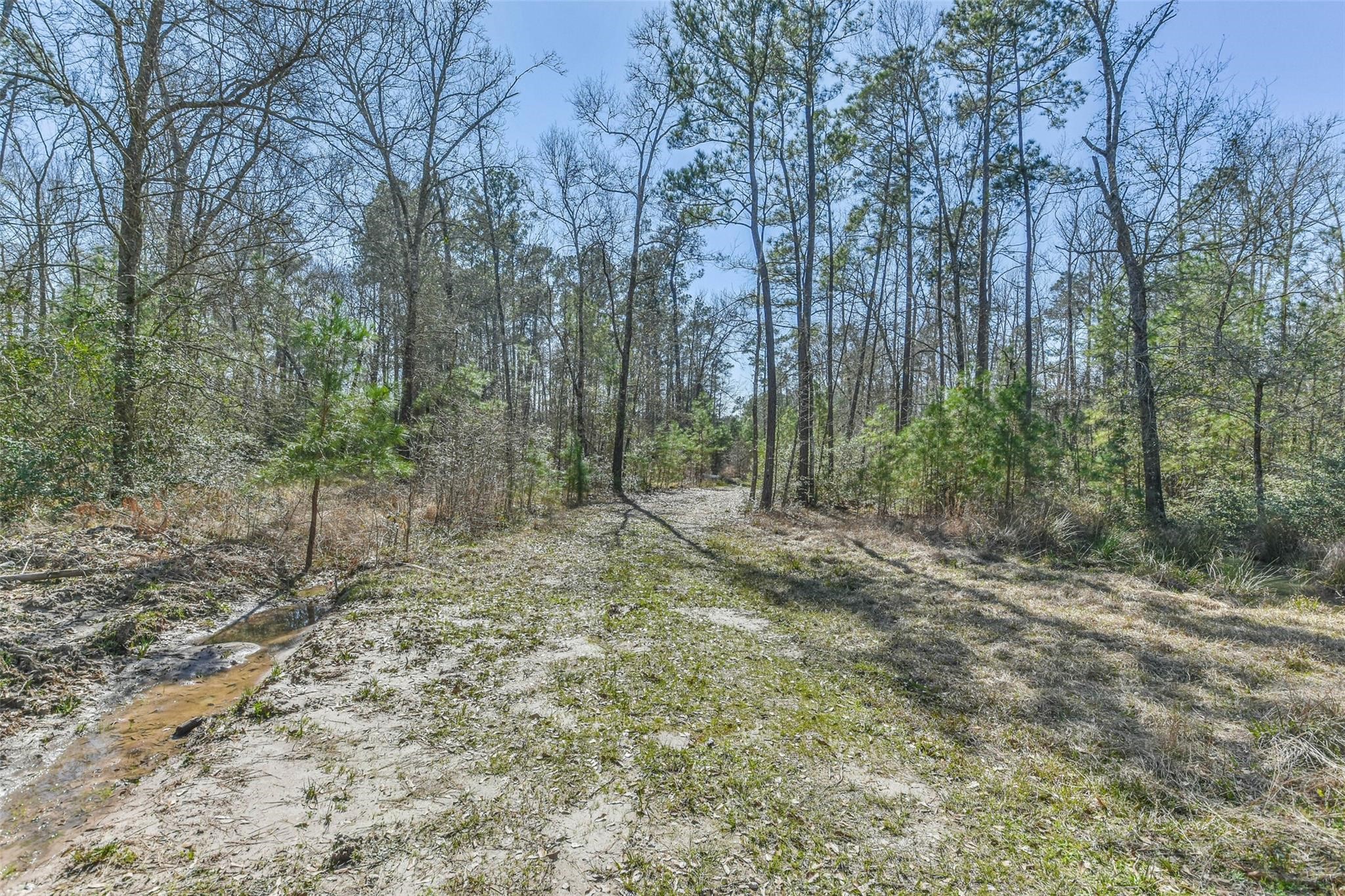35 Old Sign Road Midway, TX 75852 - Photo 18 of 25 Gallery Image 18
