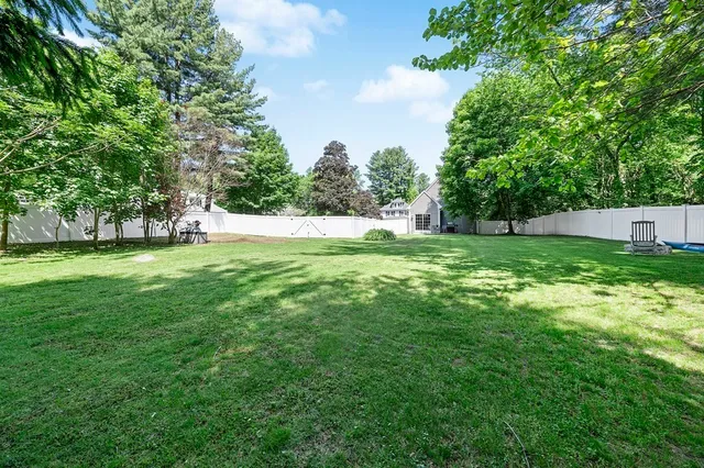 a view of a big yard with plants and large trees