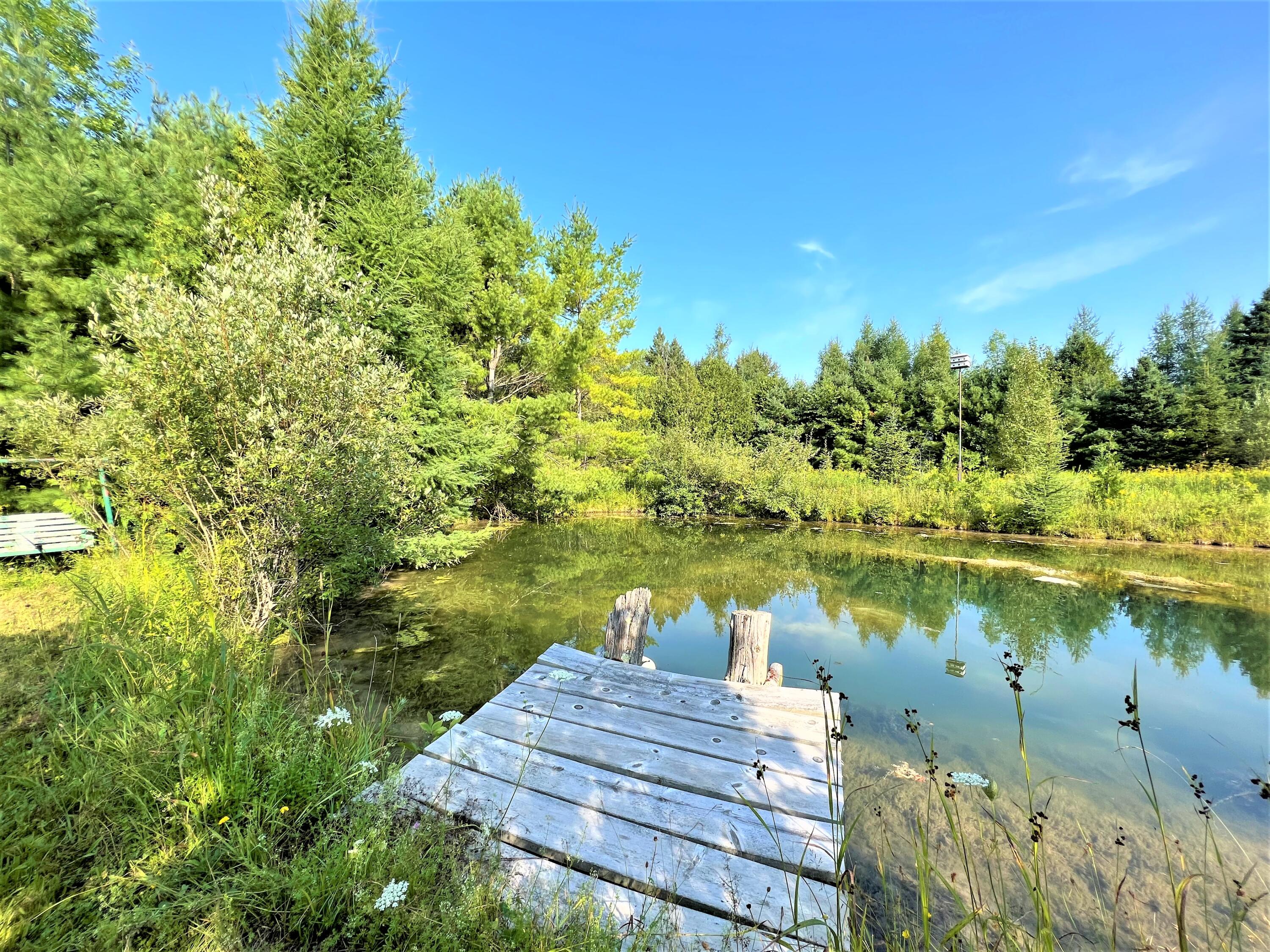 9165 Ross Road Cheboygan, MI 49721 - Photo 8 of 10 Gallery Image 8