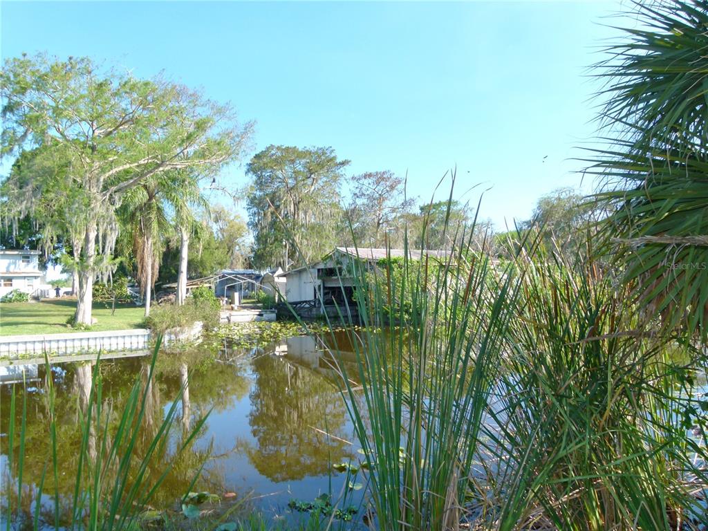 1017 1st Street Okeechobee, FL 34974 - Photo 26 of 36 a backyard of a house with lots of green space