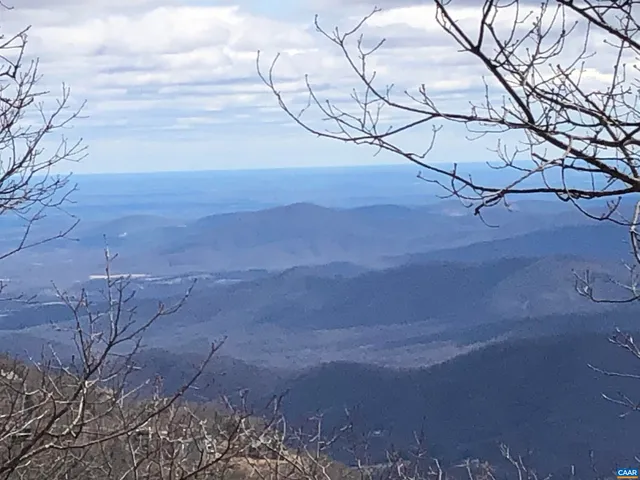 a view of a yard of the house