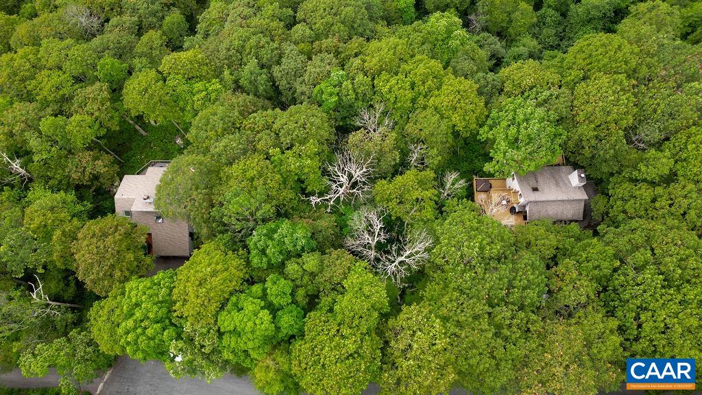 186 Hemlock Drive Roseland, VA 22967 - Photo 12 of 27 a view of a house with a back yard