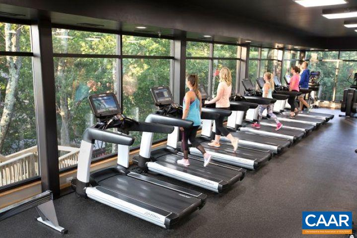 186 Hemlock Drive Roseland, VA 22967 - Photo 16 of 27 a living room with patio furniture and floor to ceiling windows