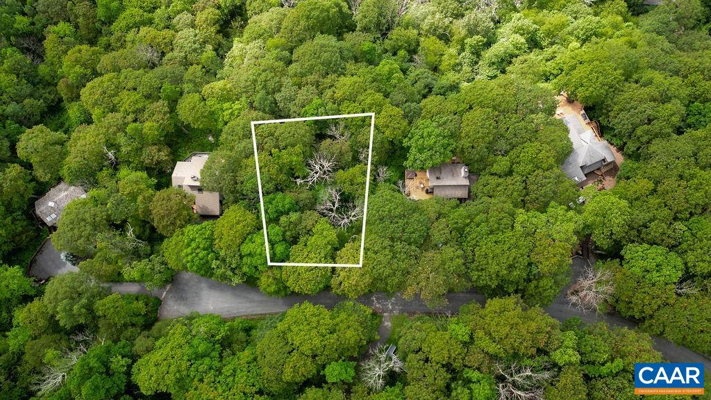 186 Hemlock Drive Roseland, VA 22967 - Photo 2 of 27 a view of a yard