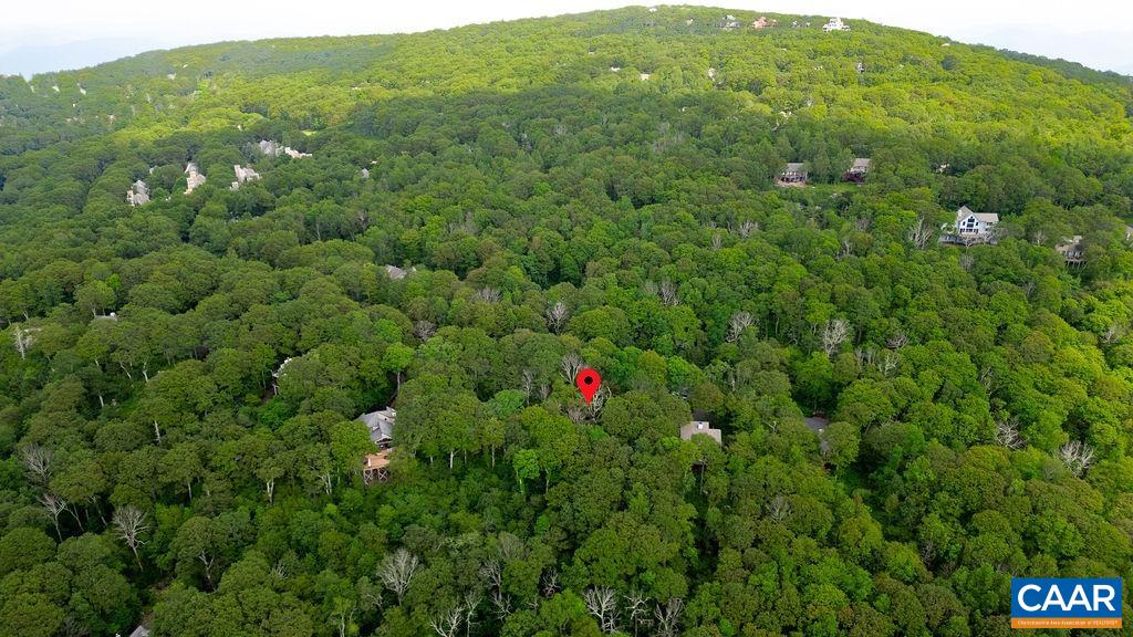 186 Hemlock Drive Roseland, VA 22967 - Photo 6 of 27 a view of a lush green forest with a lush green forest
