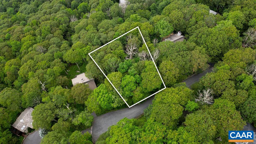 186 Hemlock Drive Roseland, VA 22967 - Photo 7 of 27 a view of a yard with lots of green space and plants