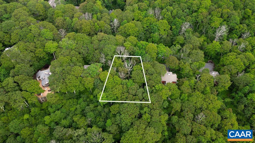 186 Hemlock Drive Roseland, VA 22967 - Photo 9 of 27 a view of a backyard