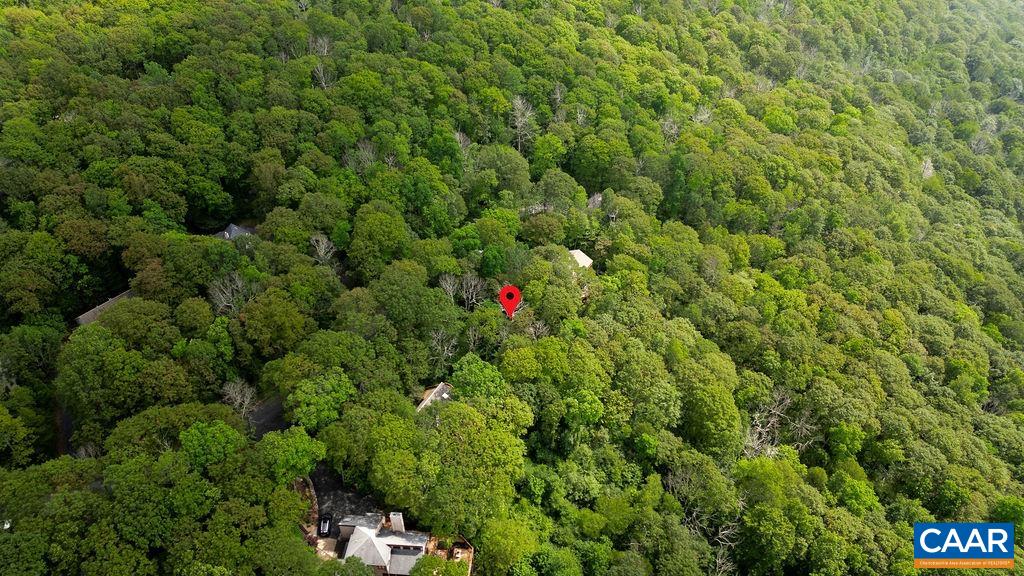 186 Hemlock Drive Roseland, VA 22967 - Photo 10 of 27 a flower plants is sitting in front of a tree