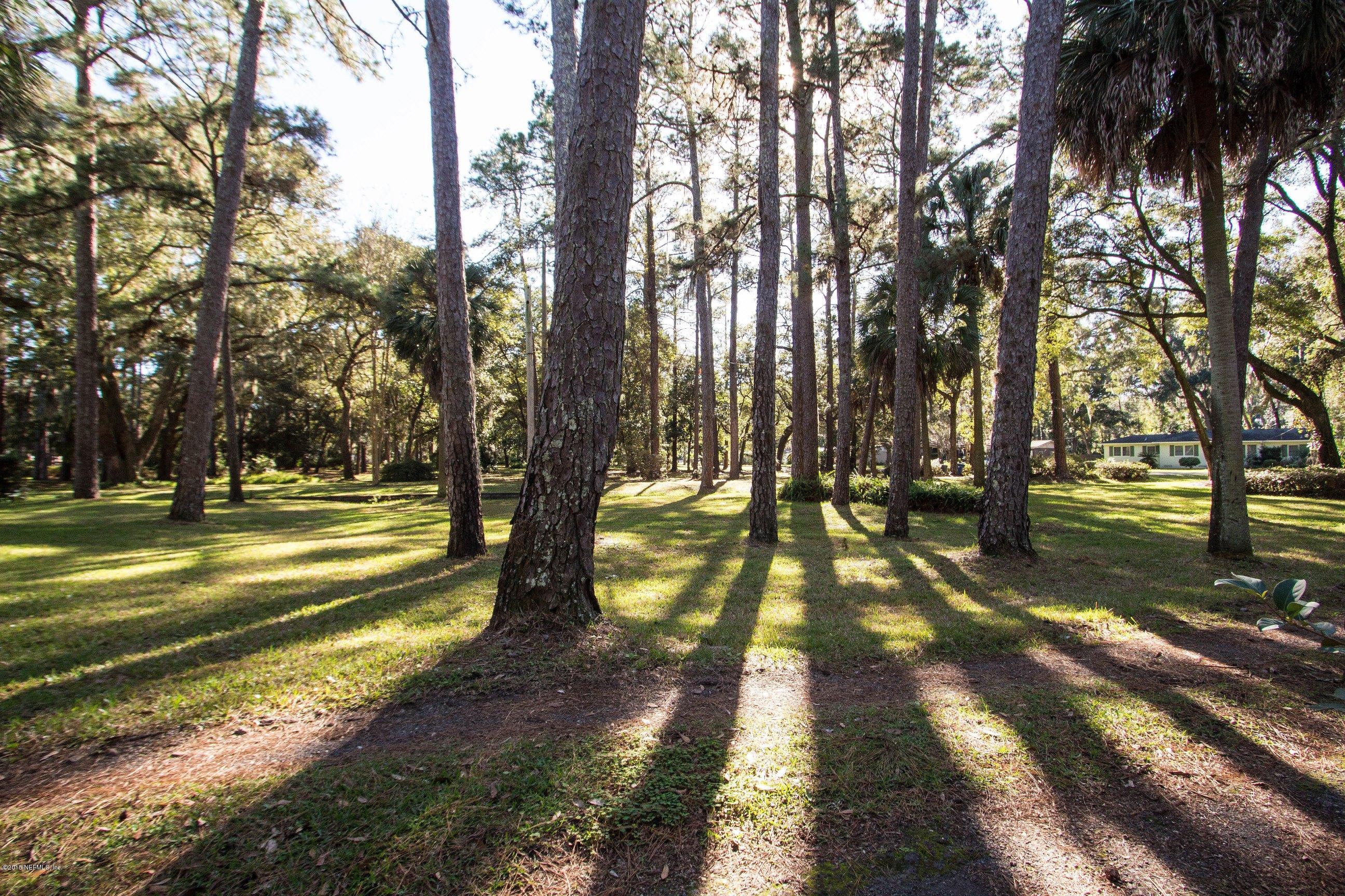 10238 Lake View Road West Jacksonville, FL 32225 - Photo 29 of 31 Backyard View 4