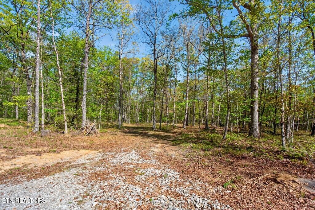 751 West Bluff Road Pikeville, TN 37367 - Photo 17 of 19 243828_17