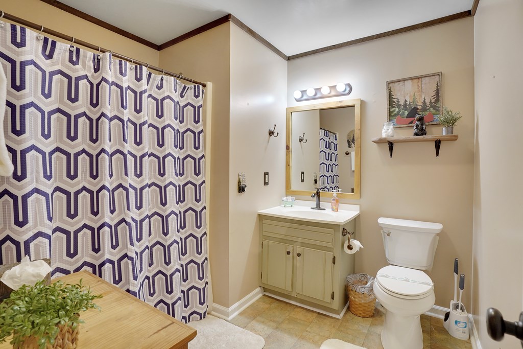 41 Courtside Court Ellijay, GA 30540 - Photo 11 of 34 a bathroom with a toilet sink and mirror