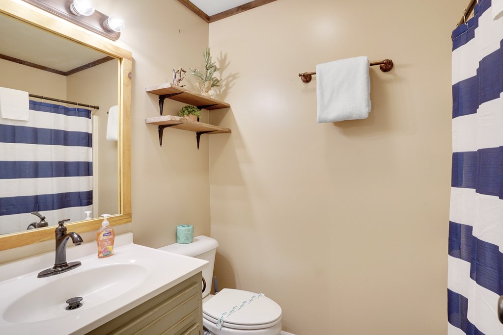 41 Courtside Court Ellijay, GA 30540 - Photo 15 of 34 a bathroom with a sink mirror vanity and toilet