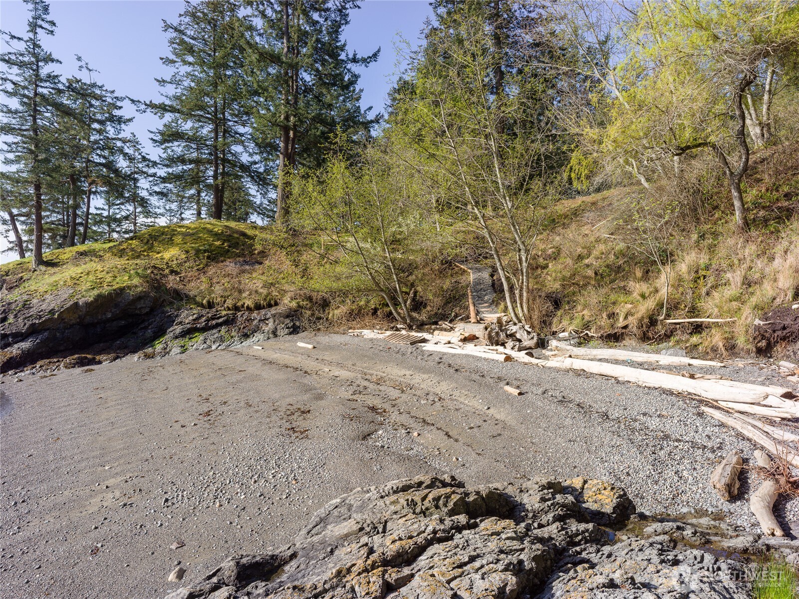 557 Old Sentinel Road Orcas Island, WA 98279 - Photo 13 of 40 a view of dirt yard with a tree