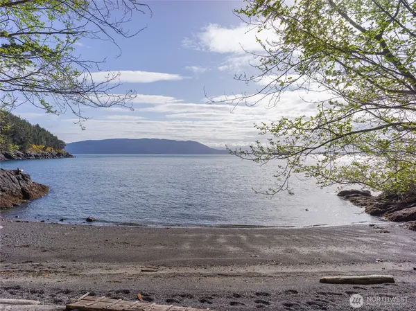 a view of a lake from a yard
