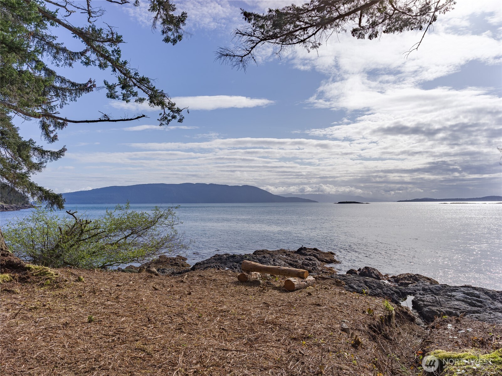 557 Old Sentinel Road Orcas Island, WA 98279 - Photo 16 of 40 a view of a lake from a yard