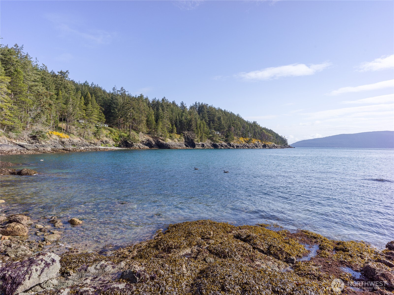 557 Old Sentinel Road Orcas Island, WA 98279 - Photo 18 of 40 a view of a dry yard with mountains in the background