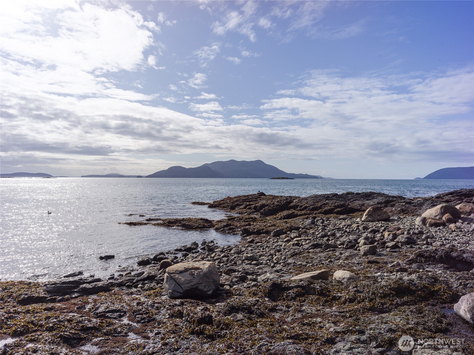 557 Old Sentinel Road Orcas Island, WA 98279 - Photo 19 of 40