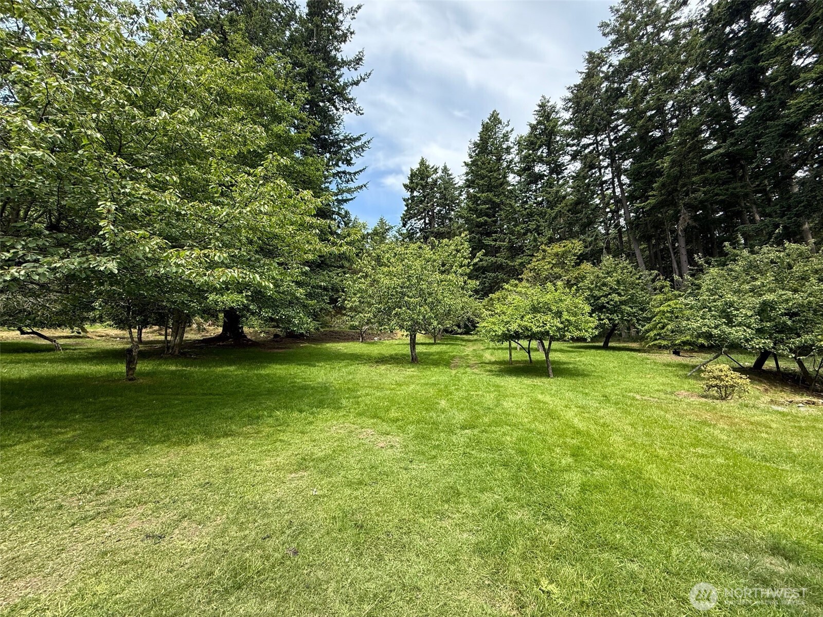 557 Old Sentinel Road Orcas Island, WA 98279 - Photo 20 of 40 a view of field with trees