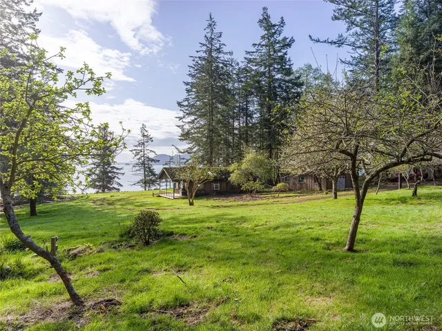 a view of a big yard with a house and large trees