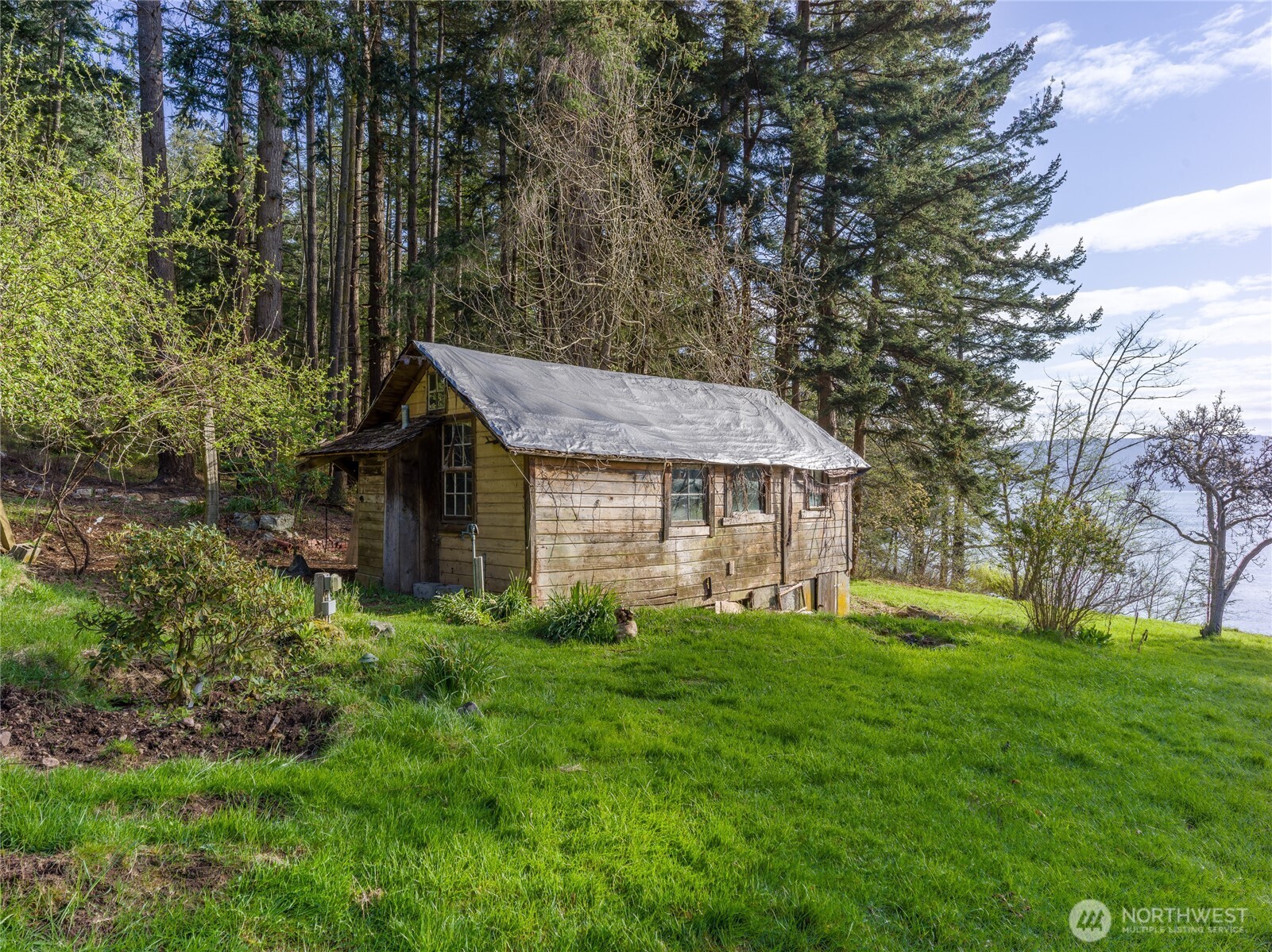 557 Old Sentinel Road Orcas Island, WA 98279 - Photo 23 of 40 a view of a brick house with a big yard and large trees