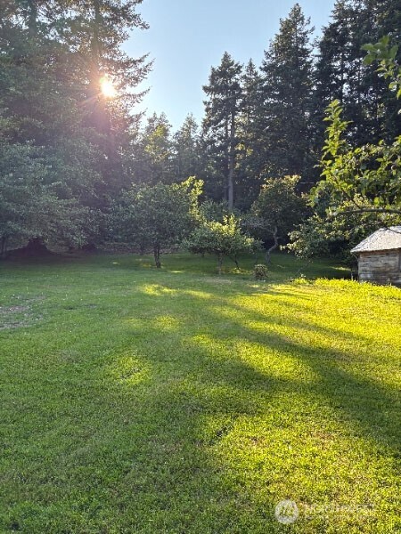 557 Old Sentinel Road Orcas Island, WA 98279 - Photo 32 of 40 a view of a water fountain and a yard