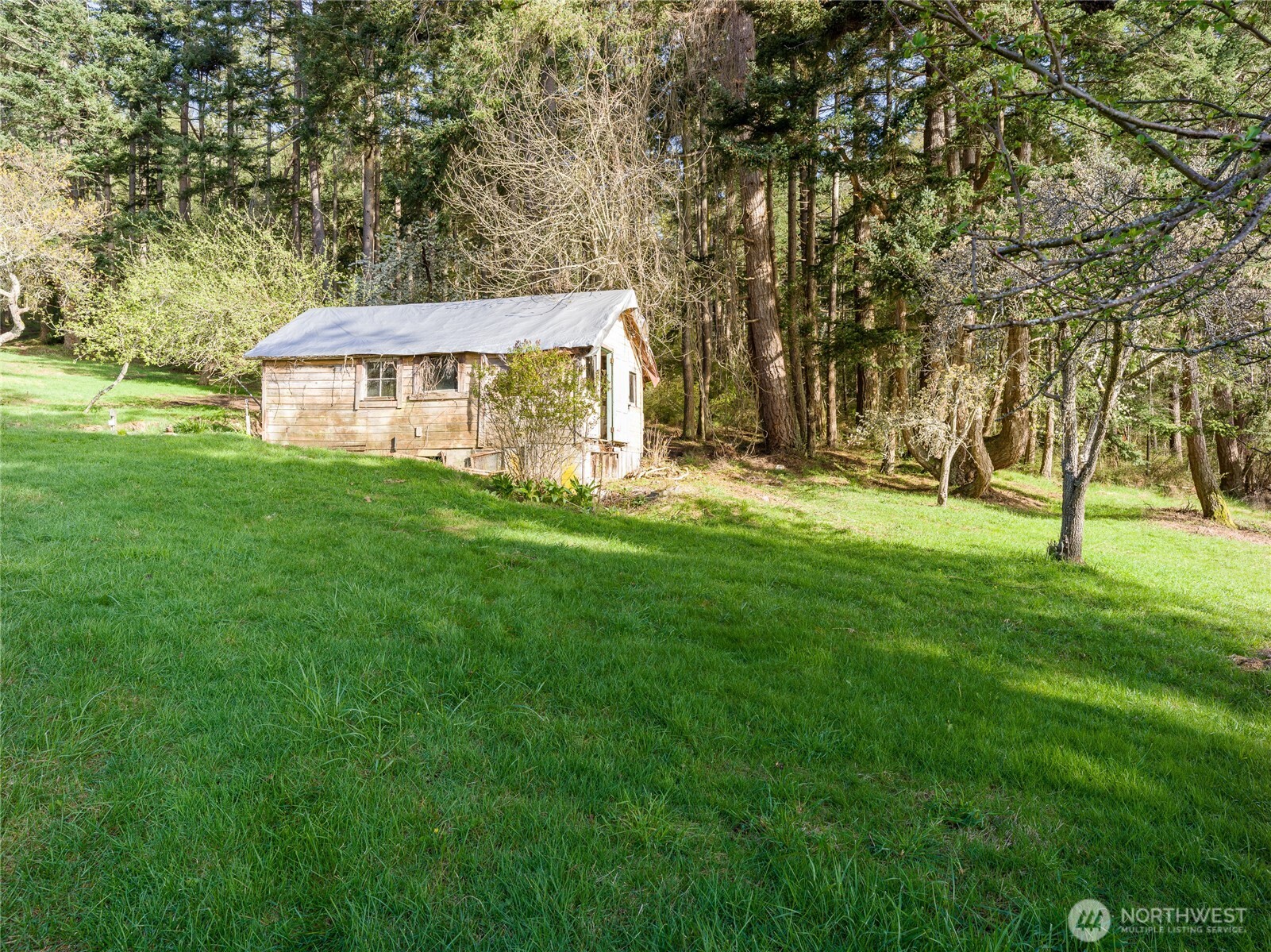 557 Old Sentinel Road Orcas Island, WA 98279 - Photo 33 of 40 a view of a big yard next to a house