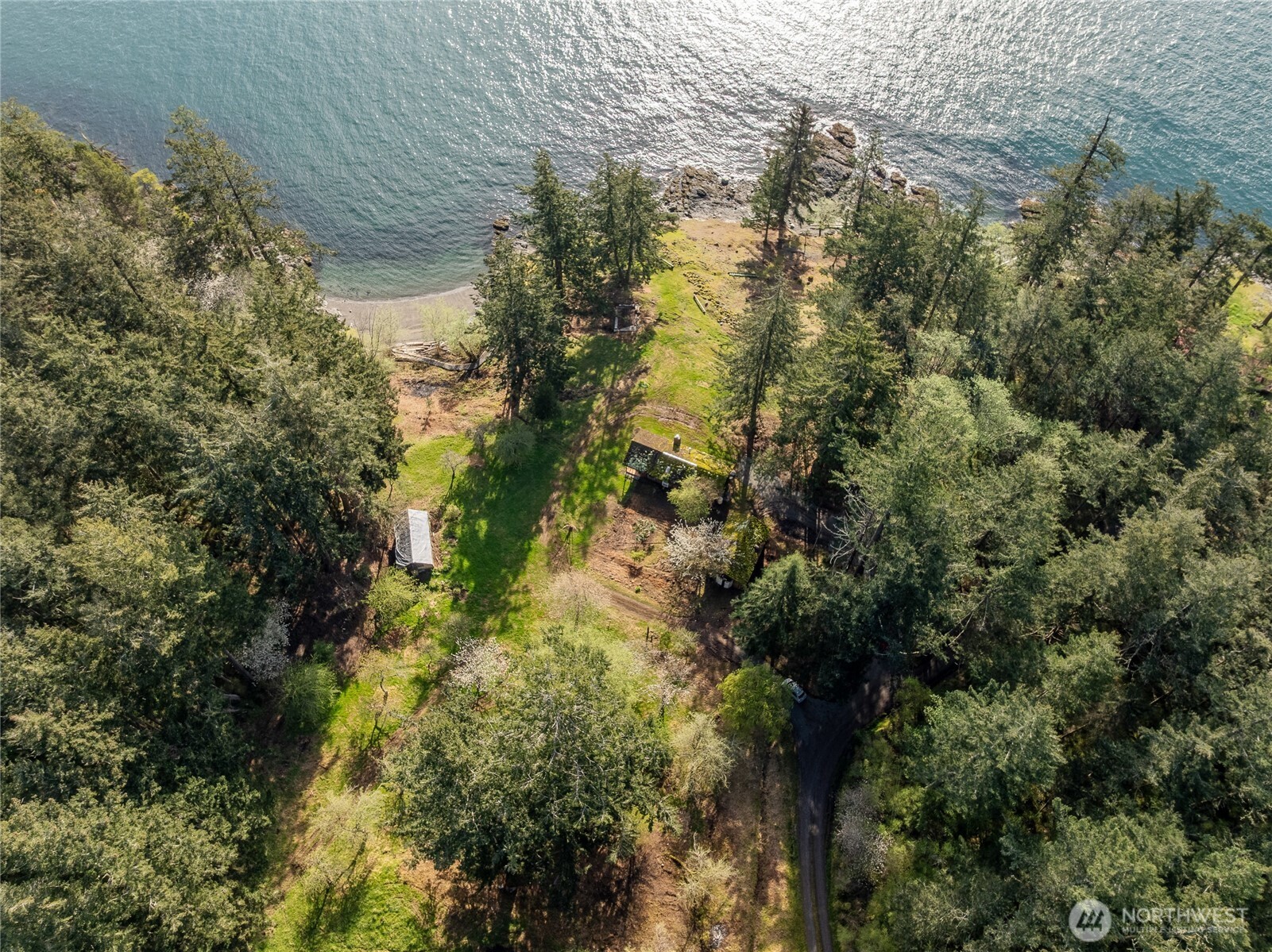 557 Old Sentinel Road Orcas Island, WA 98279 - Photo 7 of 40 a view of a forest