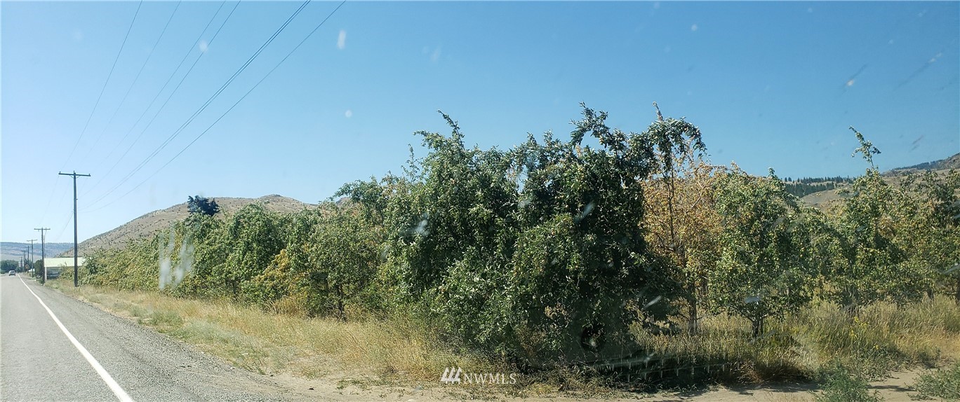469 A Conconully Road Okanogan, WA 98840 - Photo 1 of 6 a view of a yard
