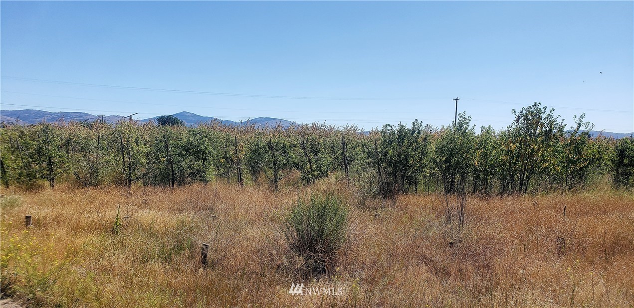 469 A Conconully Road Okanogan, WA 98840 - Photo 6 of 6 a view of a lake in middle of forest