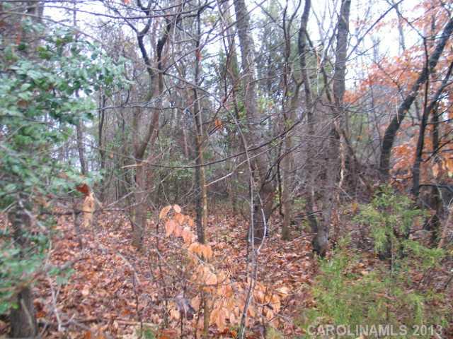 0 South Little Egypt Road Denver, NC 28037 - Photo 2 of 4 Gallery Image 2