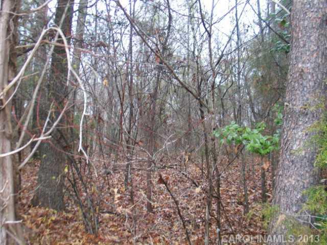 0 South Little Egypt Road Denver, NC 28037 - Photo 3 of 4 Gallery Image 3