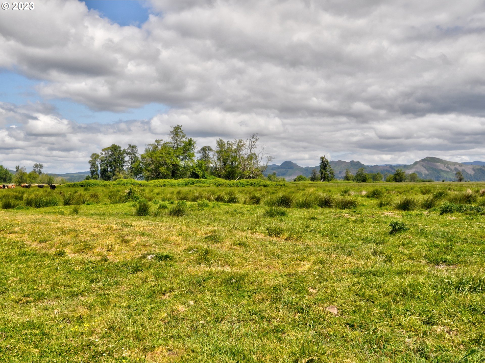 94578 Rudat Road Astoria, OR 97103 - Photo 26 of 30 Gallery Image 26