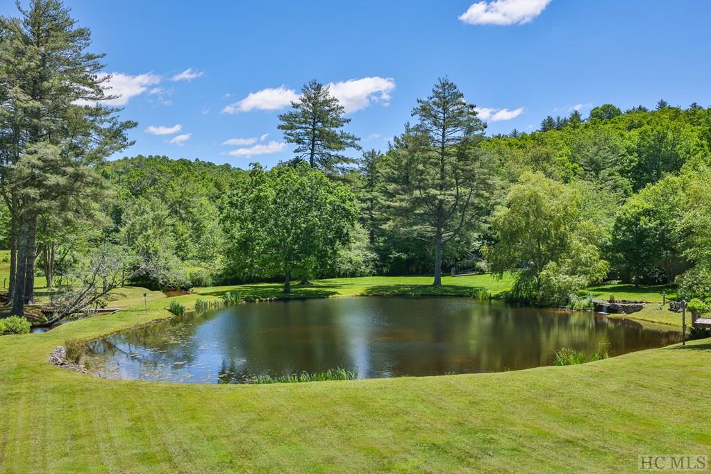 361 Buckberry Road Highlands, NC 28741 - Photo 61 of 73 Gallery Image 61