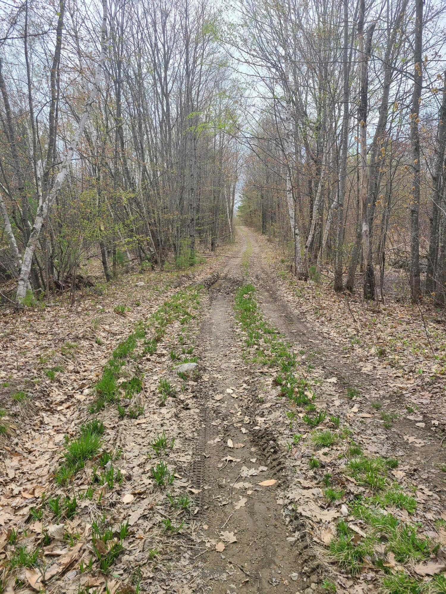 0 Little Wilson Pond Road Turner, ME 04282 - Photo 1 of 13 20210504_120438