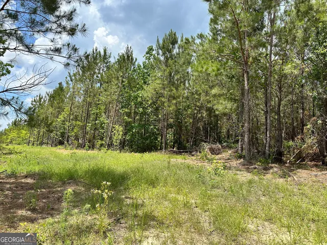 a fire hydrant in the middle of a field