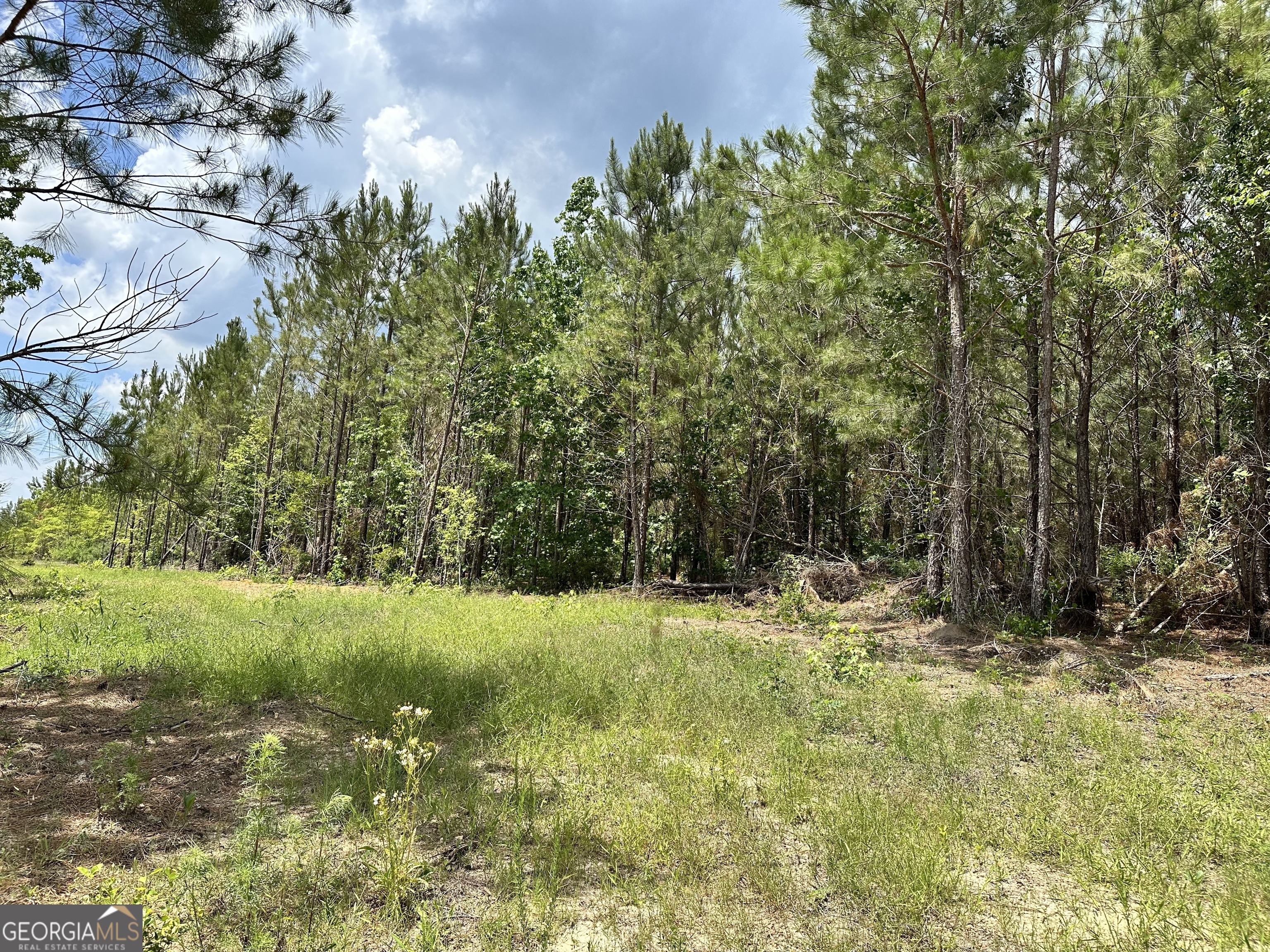 Lot 7.5 Highway 19 Dublin, GA 31021 - Photo 1 of 2 a fire hydrant in the middle of a field