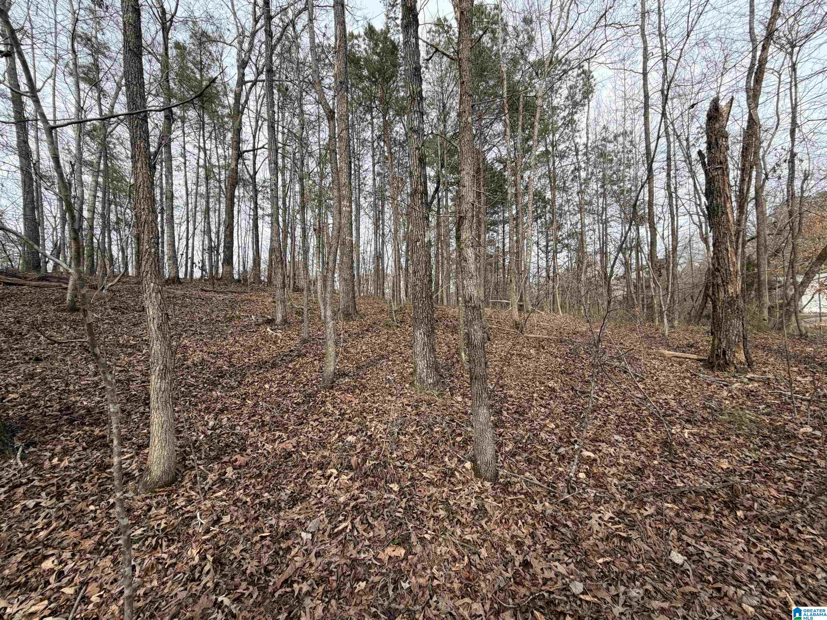 0 James Lake Road, Unit 1 Trussville, AL 35173 - Photo 11 of 18