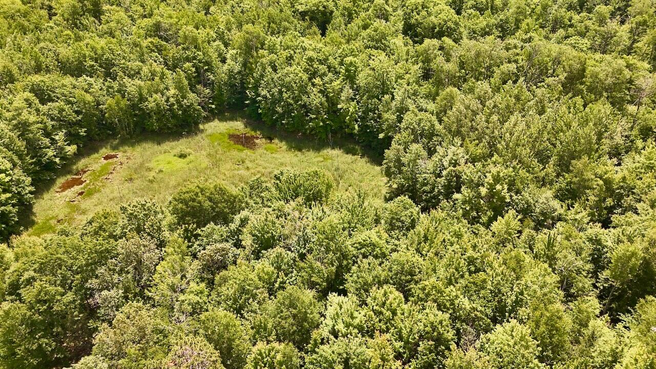 6182 Hamilton Road Harrison, MI 48625 - Photo 30 of 77