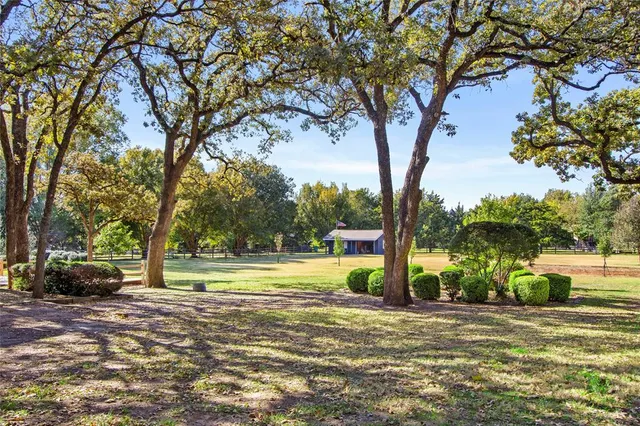 a view of a park with large trees
