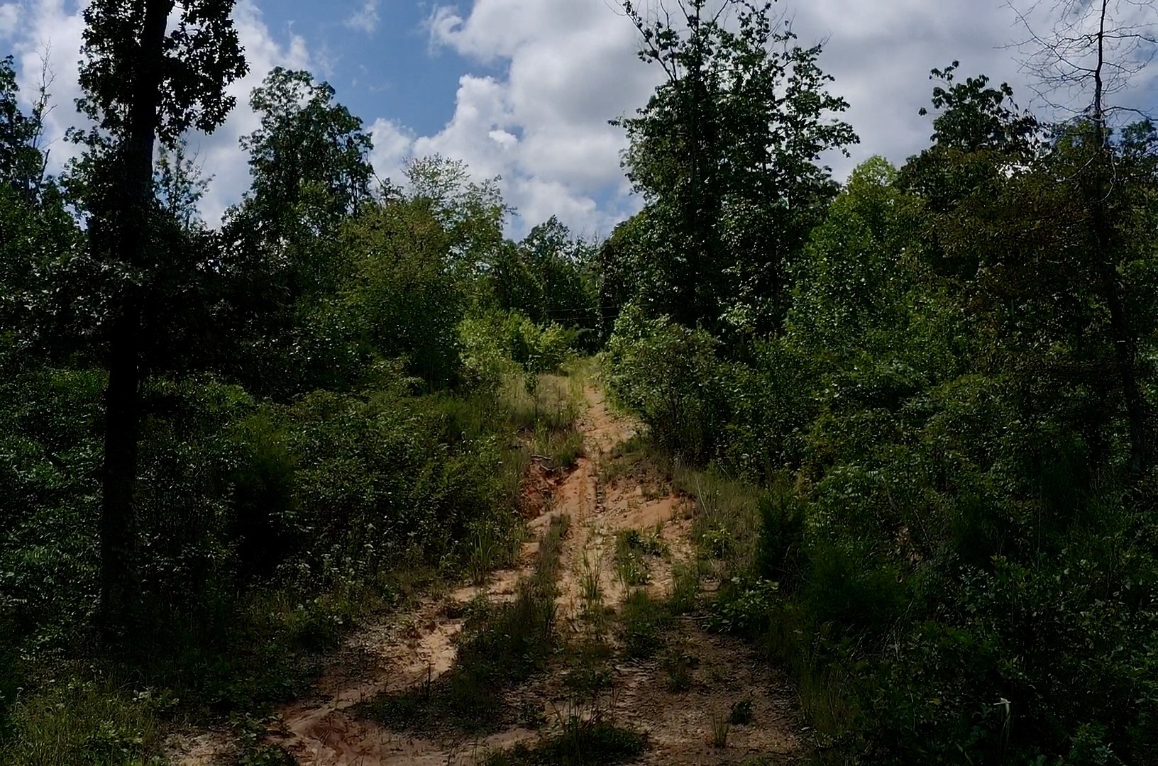 0 Mouse Tail Road Parsons, TN 38363 - Photo 11 of 21