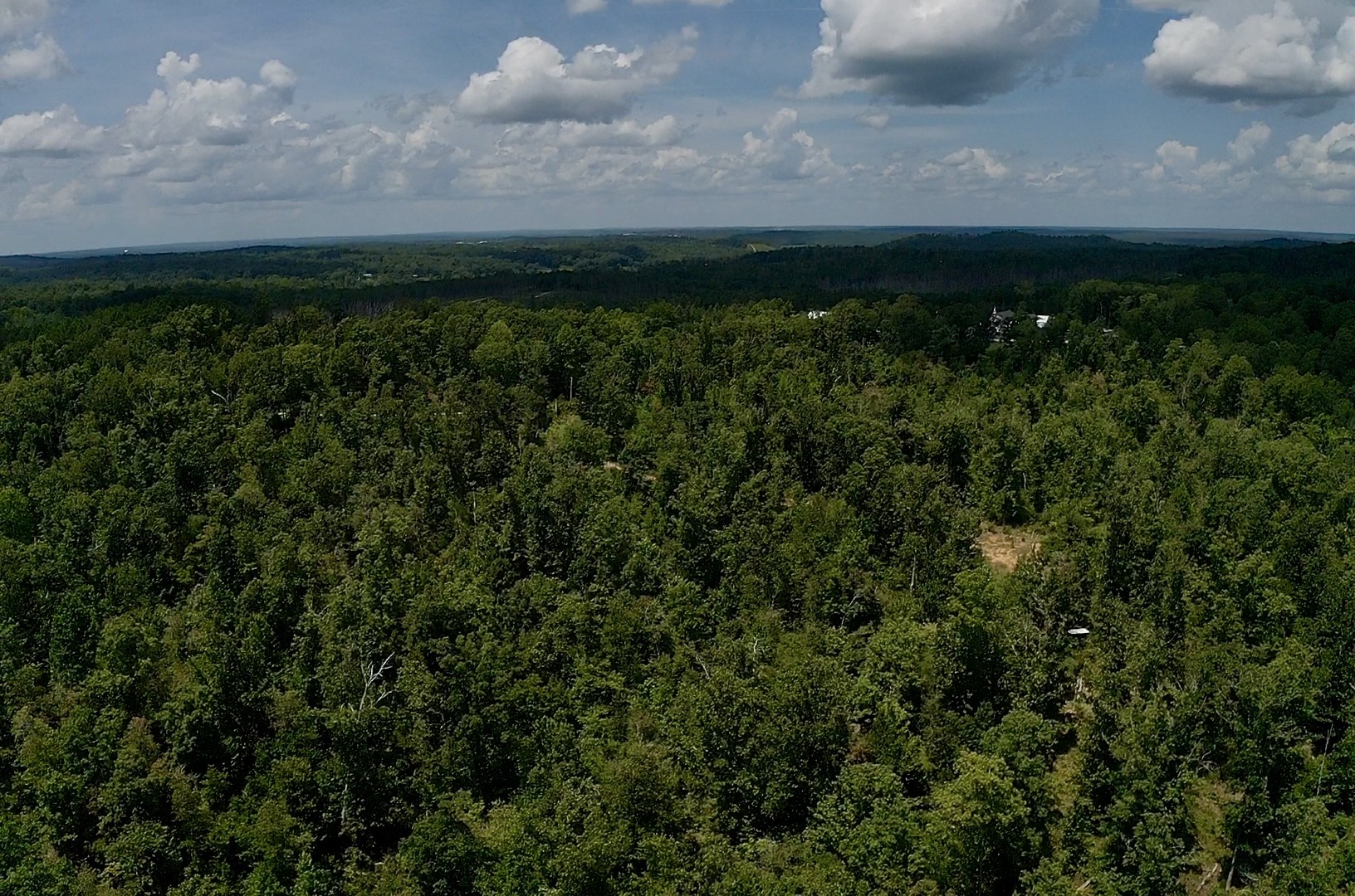 0 Mouse Tail Road Parsons, TN 38363 - Photo 15 of 21