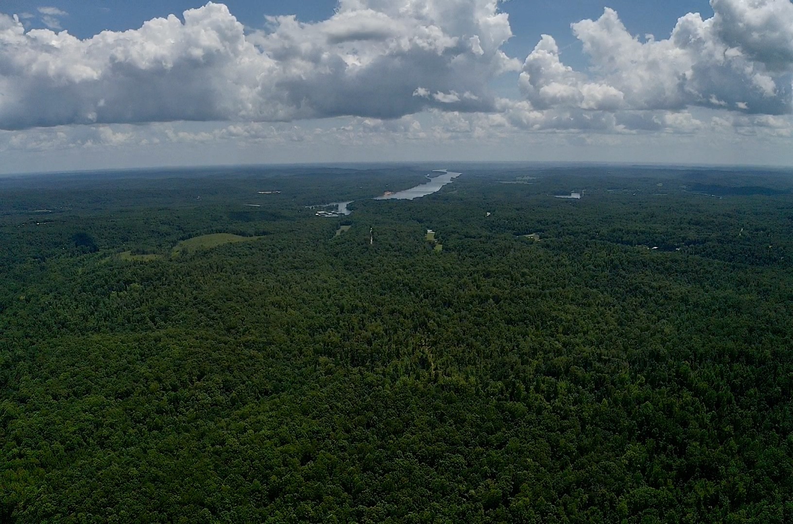0 Mouse Tail Road Parsons, TN 38363 - Photo 17 of 21
