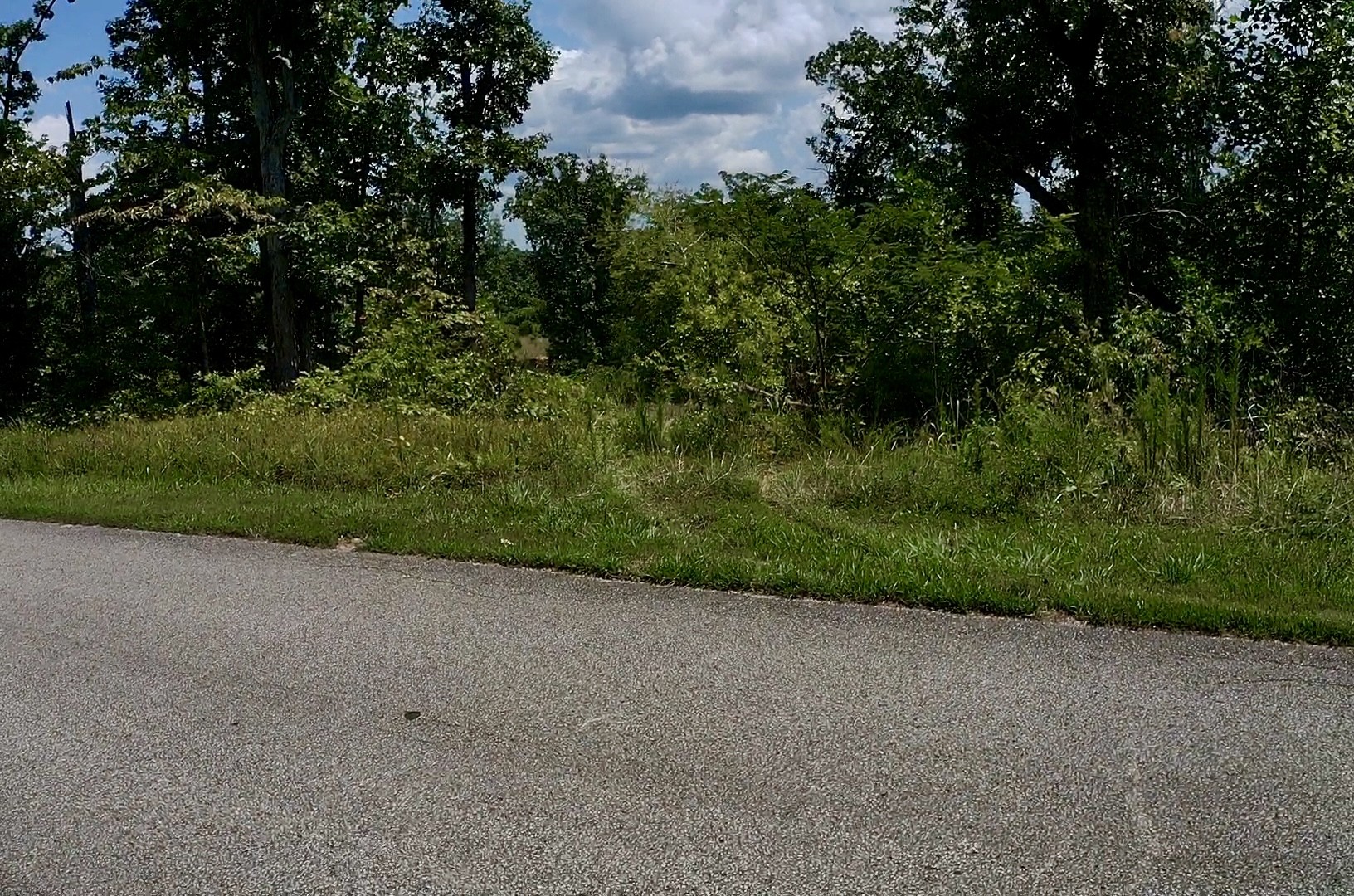 0 Mouse Tail Road Parsons, TN 38363 - Photo 19 of 21